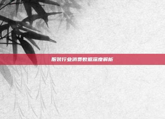服装行业消费数据深度解析