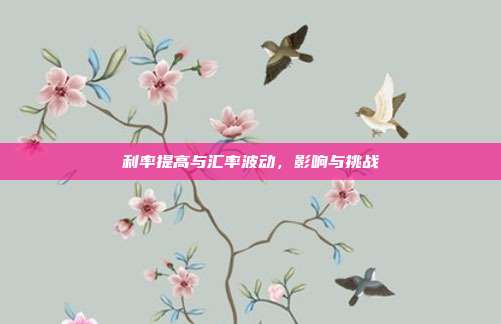 利率提高与汇率波动,影响与挑战