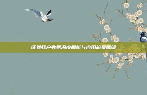 证券账户数据深度解析与应用前景展望