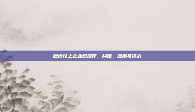 规模以上企业数据库，构建、应用与挑战