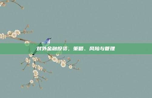 对外金融投资,策略、风险与管理