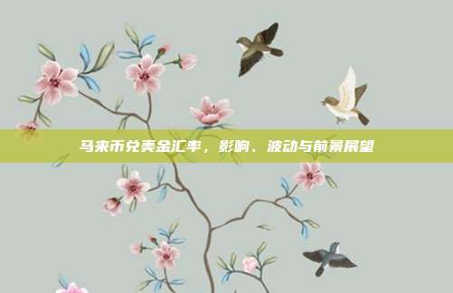 马来币兑美金汇率,影响、波动与前景展望