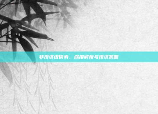 非投资级债券,深度解析与投资策略