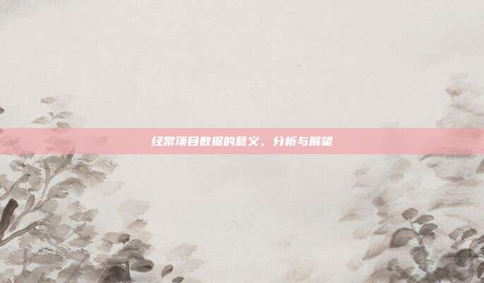 经常项目数据的意义、分析与展望