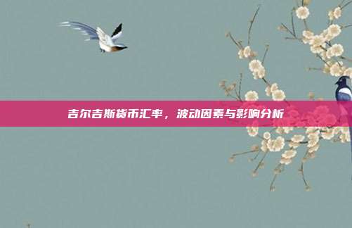 吉尔吉斯货币汇率,波动因素与影响分析