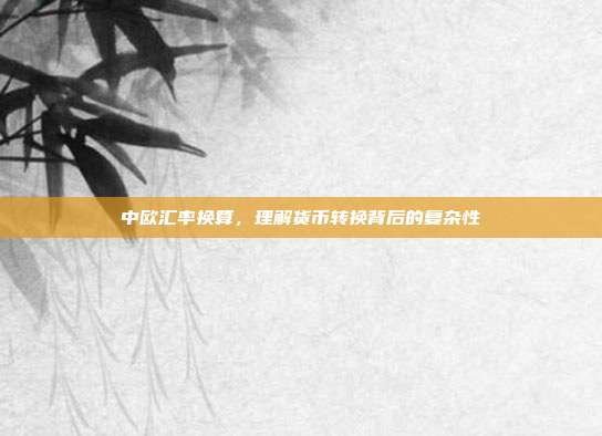 中欧汇率换算,理解货币转换背后的复杂性
