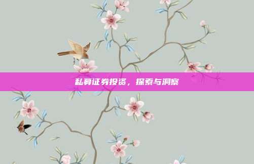 私募证券投资,探索与洞察