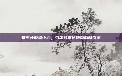 普惠大数据中心,引领数字化转型的新引擎