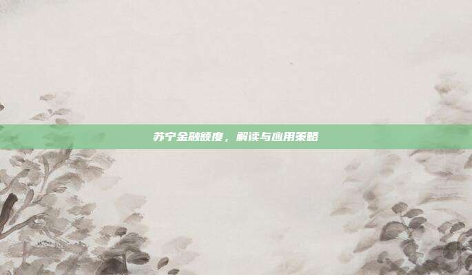 苏宁金融额度,解读与应用策略