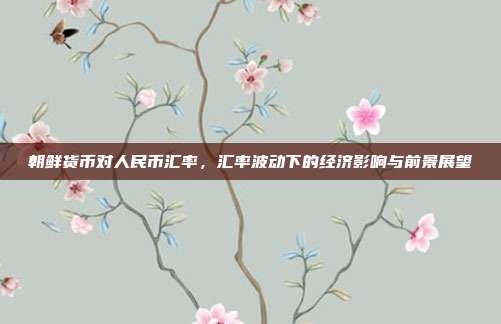 朝鲜货币对人民币汇率,汇率波动下的经济影响与前景展望