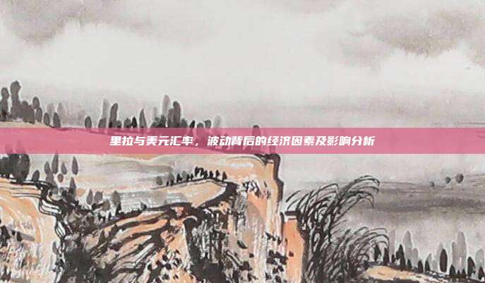 里拉与美元汇率,波动背后的经济因素及影响分析