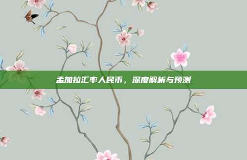 孟加拉汇率人民币,深度解析与预测