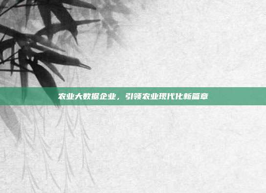 农业大数据企业,引领农业现代化新篇章