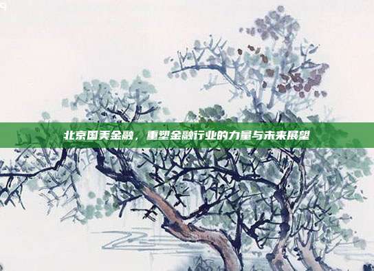 北京国美金融,重塑金融行业的力量与未来展望