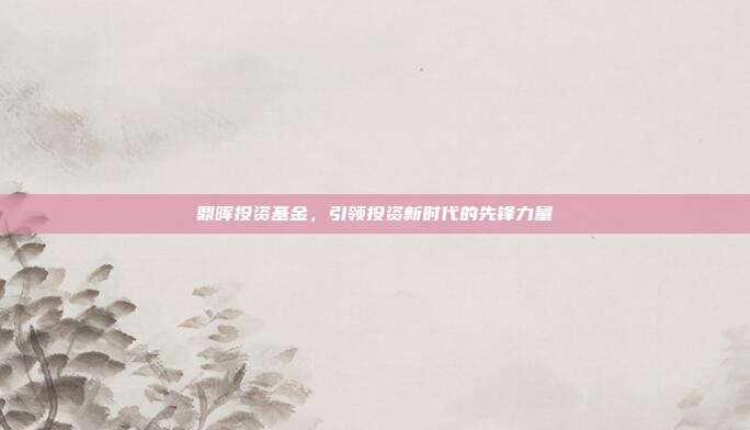 鼎晖投资基金,引领投资新时代的先锋力量