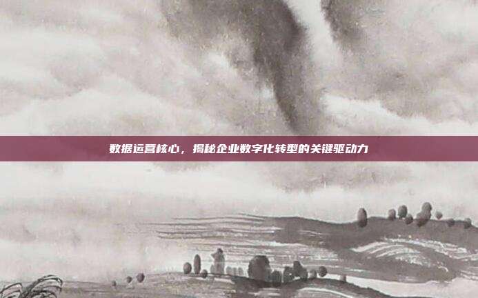 数据运营核心,揭秘企业数字化转型的关键驱动力