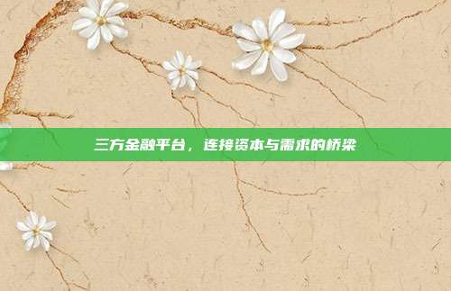 三方金融平台,连接资本与需求的桥梁