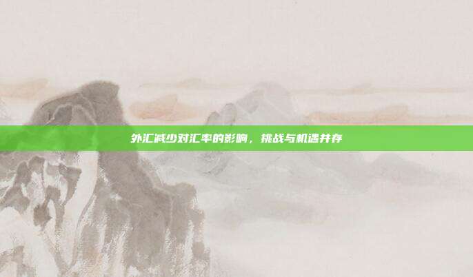 外汇减少对汇率的影响,挑战与机遇并存