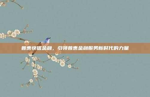 普惠快信金融,引领普惠金融服务新时代的力量