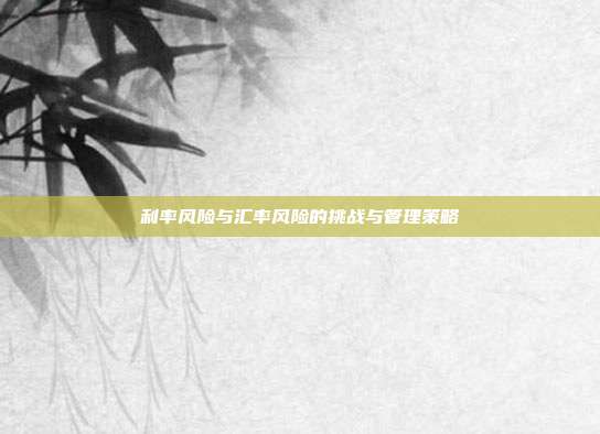 利率风险与汇率风险的挑战与管理策略