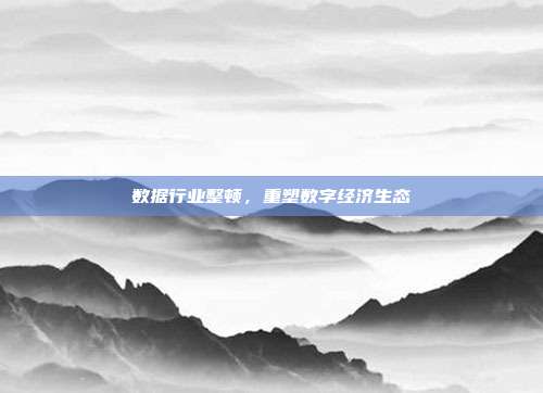数据行业整顿,重塑数字经济生态