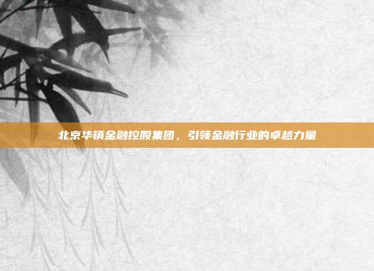 北京华镇金融控股集团,引领金融行业的卓越力量