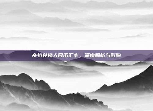 奈拉兑换人民币汇率,深度解析与影响