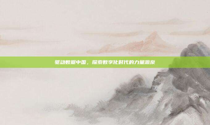 驱动数据中国，探索数字化时代的力量源泉
