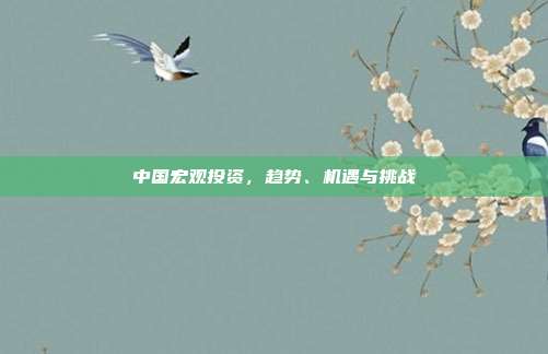 中国宏观投资,趋势、机遇与挑战