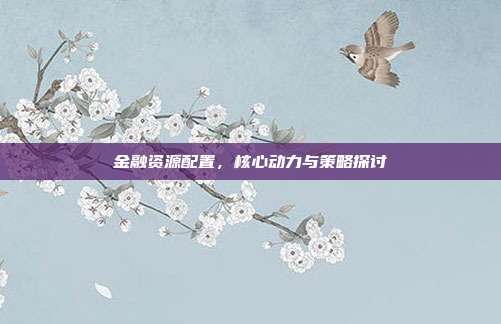 金融资源配置,核心动力与策略探讨