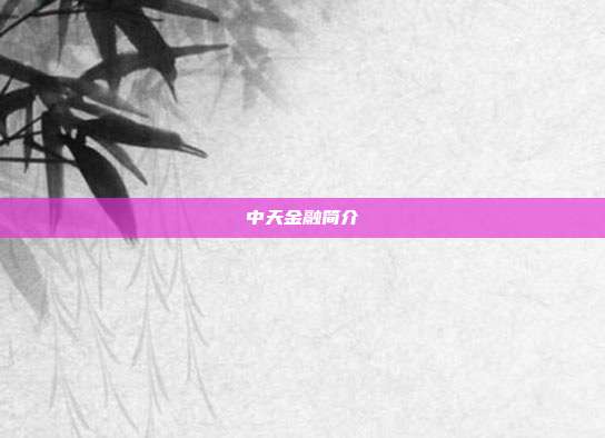 中天金融简介