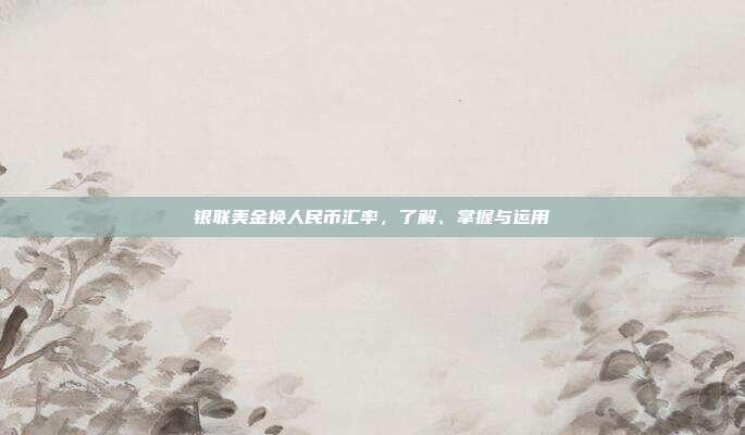 银联美金换人民币汇率,了解、掌握与运用