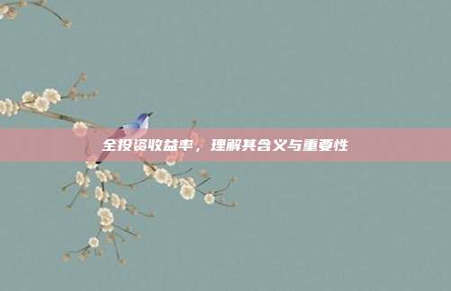 全投资收益率,理解其含义与重要性