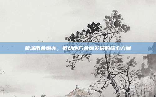 菏泽市金融办,推动地方金融发展的核心力量