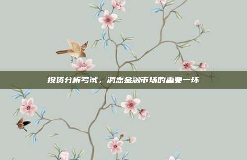 投资分析考试,洞悉金融市场的重要一环
