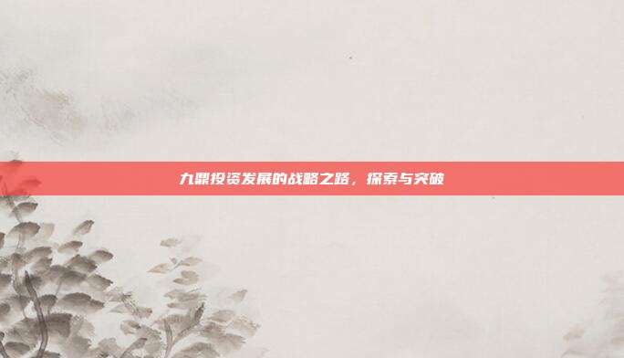 九鼎投资发展的战略之路，探索与突破