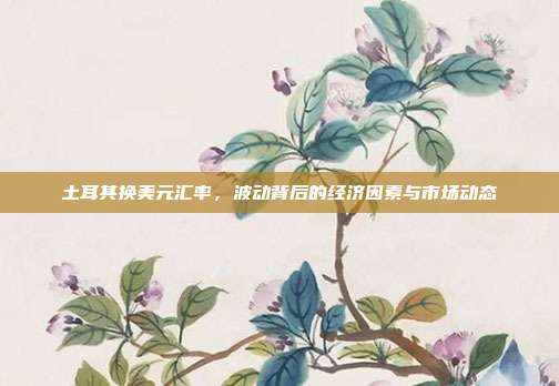 土耳其换美元汇率,波动背后的经济因素与市场动态