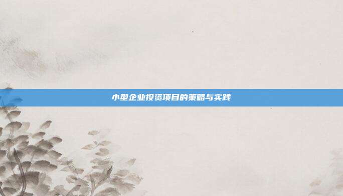 小型企业投资项目的策略与实践