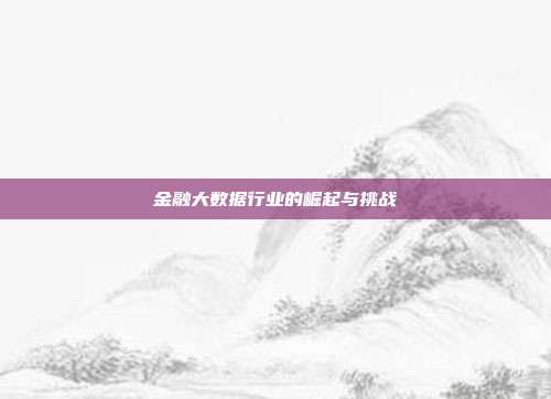 金融大数据行业的崛起与挑战
