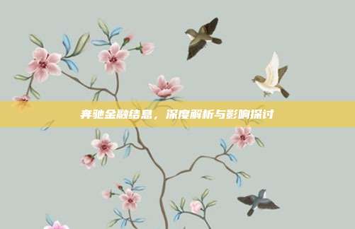 奔驰金融结息,深度解析与影响探讨