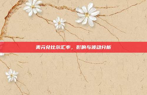 美元兑比尔汇率,影响与波动分析
