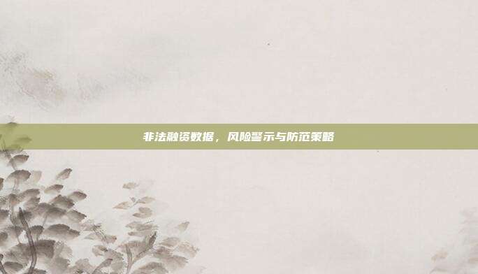 非法融资数据,风险警示与防范策略