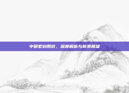中研宏科股价,深度解析与前景展望