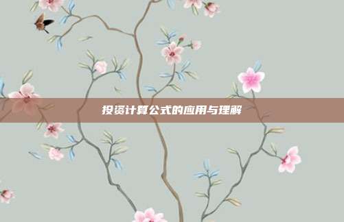 投资计算公式的应用与理解