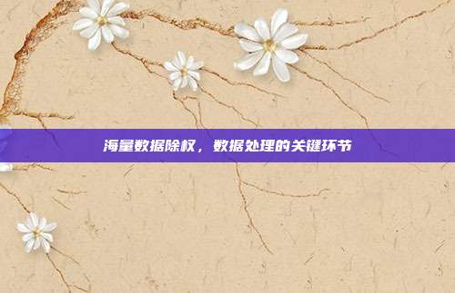 海量数据除权,数据处理的关键环节