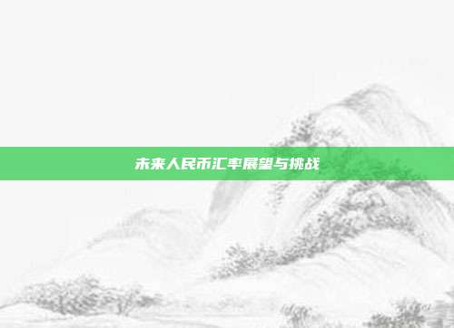 未来人民币汇率展望与挑战