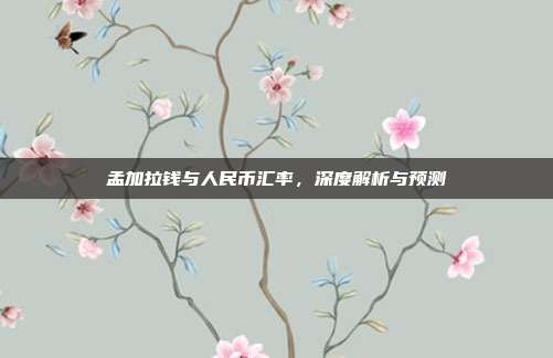 孟加拉钱与人民币汇率,深度解析与预测