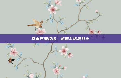 马来西亚投资,机遇与挑战并存