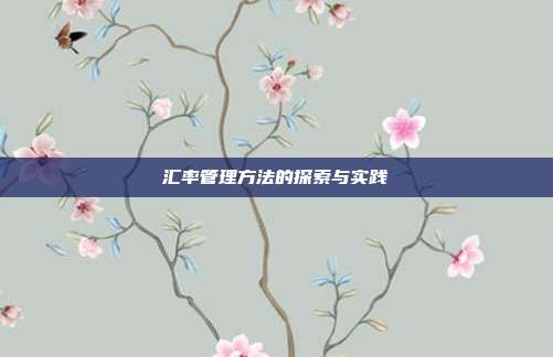 汇率管理方法的探索与实践