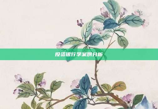 投资银行学案例分析